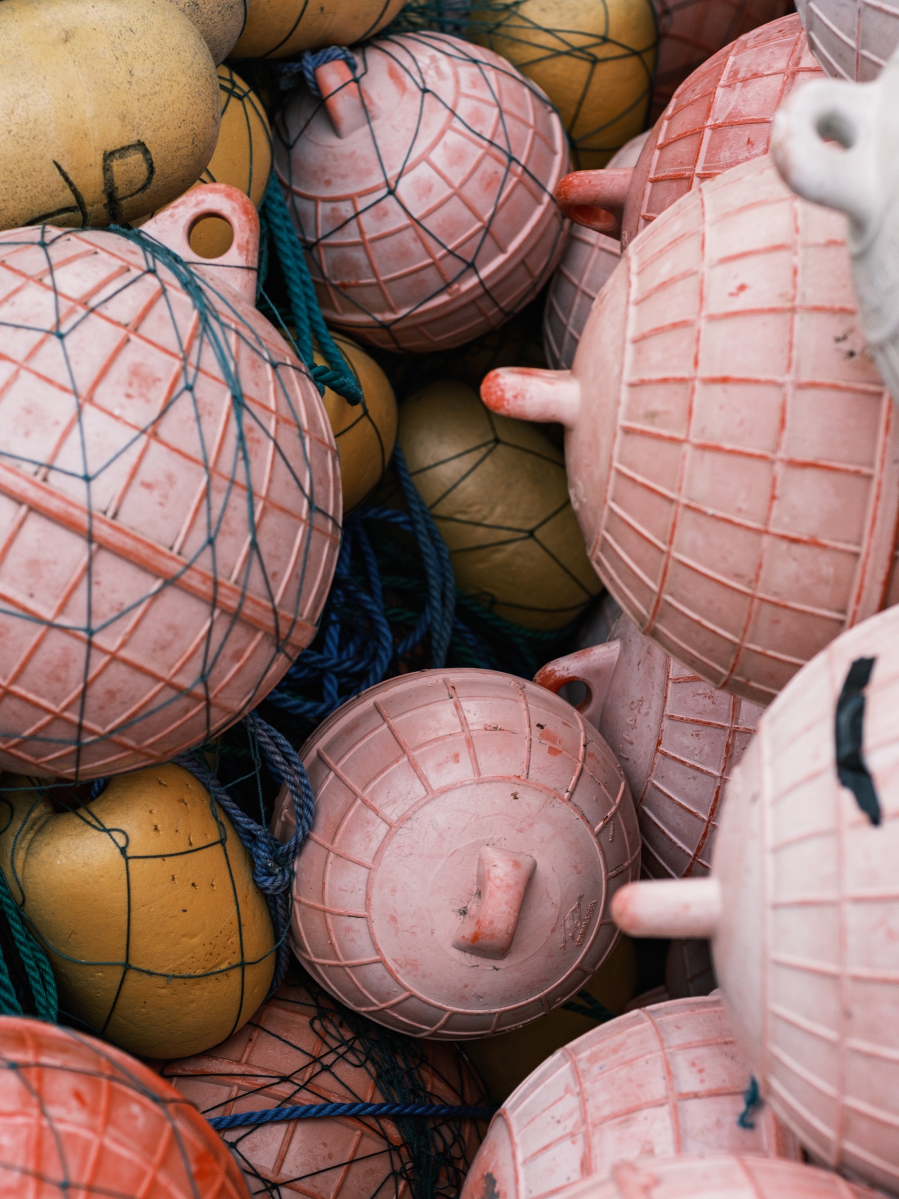 Close-up of pink and yellow fishing buoys tangled with blue netting