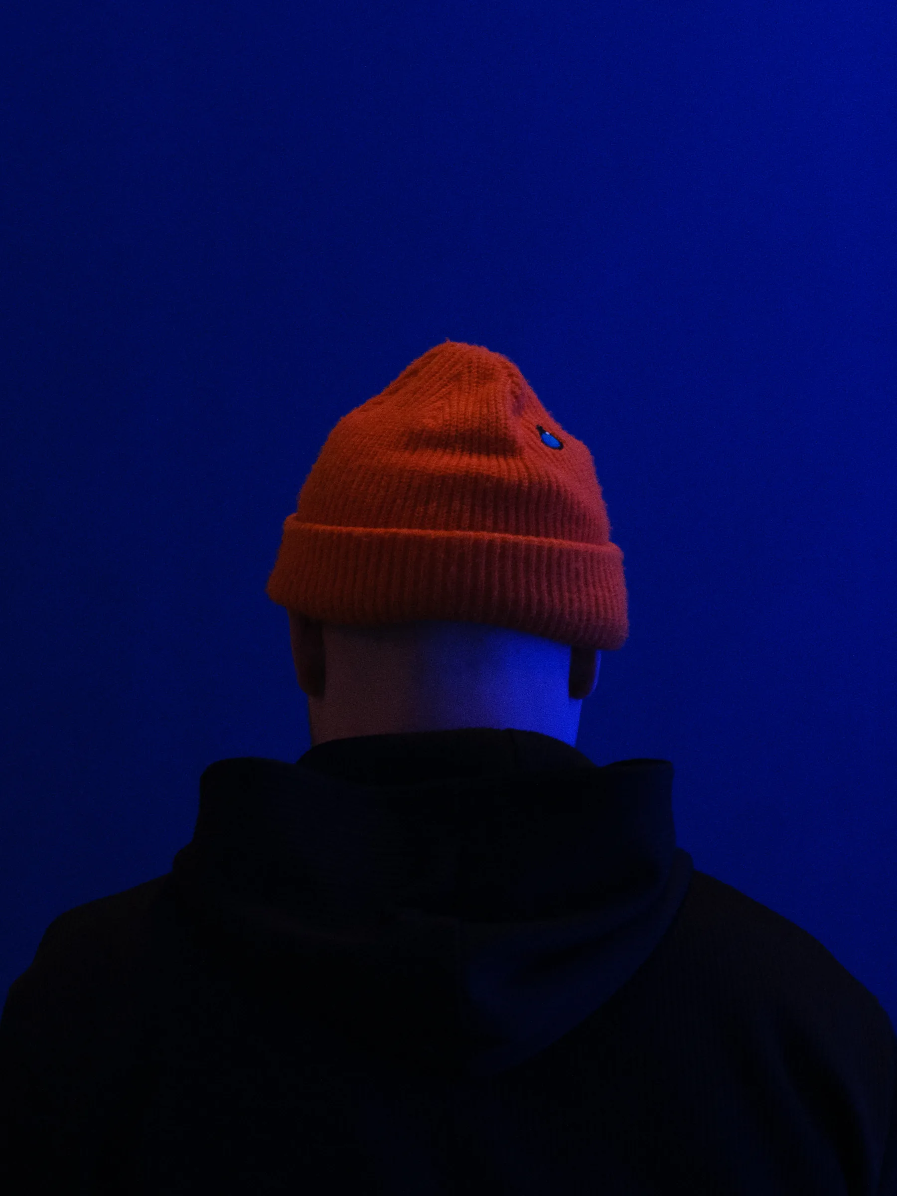 Back portrait of a person in a red knit hat against a vivid blue background